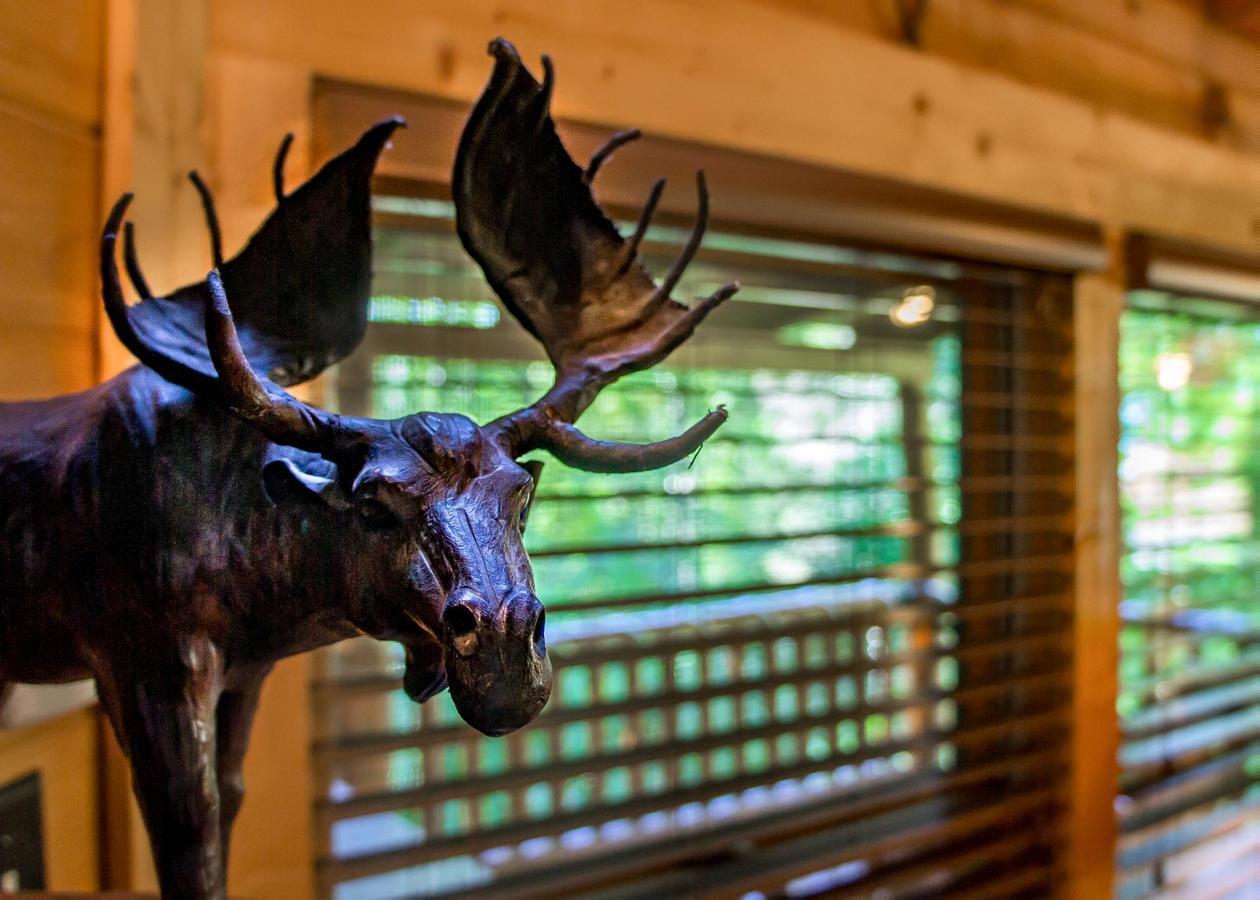 Bearfoot Inn #35 Sevierville Zewnętrze zdjęcie